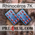 Rhinocéros 7K 05